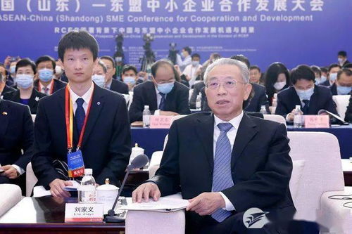 中國(guó)山東-東盟中小企業(yè)合作發(fā)展大會(huì)在濟(jì)開(kāi)幕，推動(dòng)軟件應(yīng)用深化經(jīng)貿(mào)合作